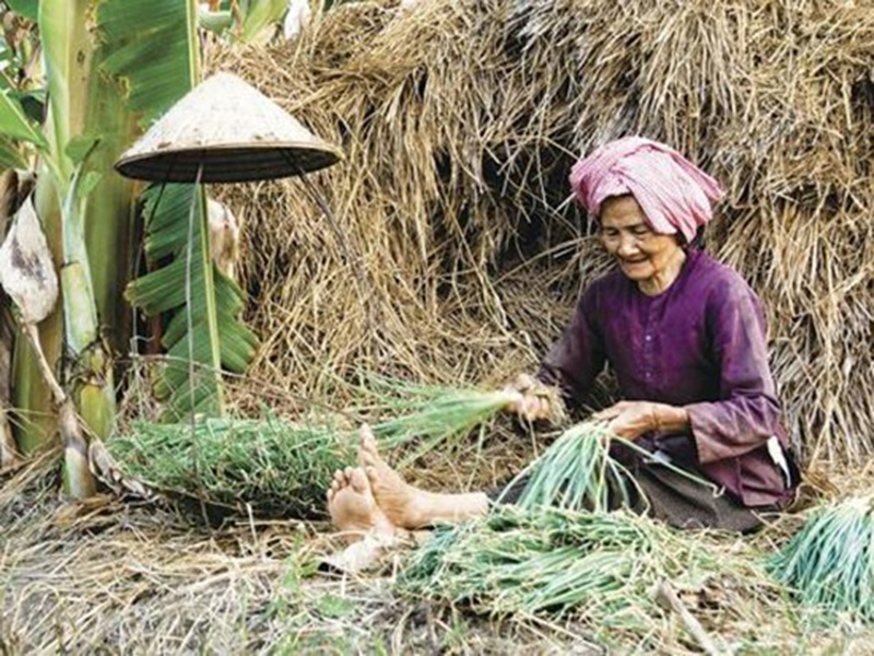 Con yêu bố mẹ nhất trần đời